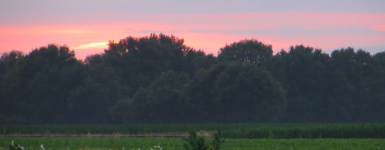 Moorlandschaft